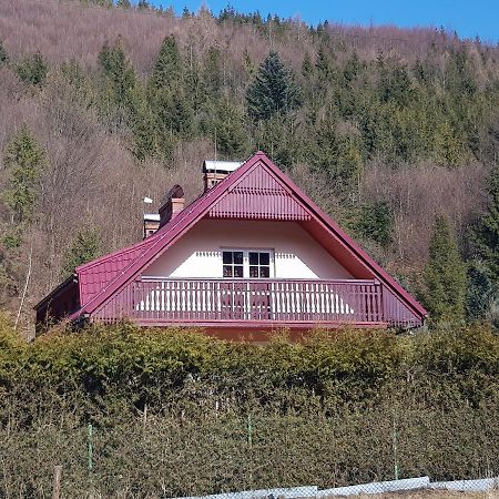 Vila Domek Nad Rzeczka Zabnica Exteriér fotografie